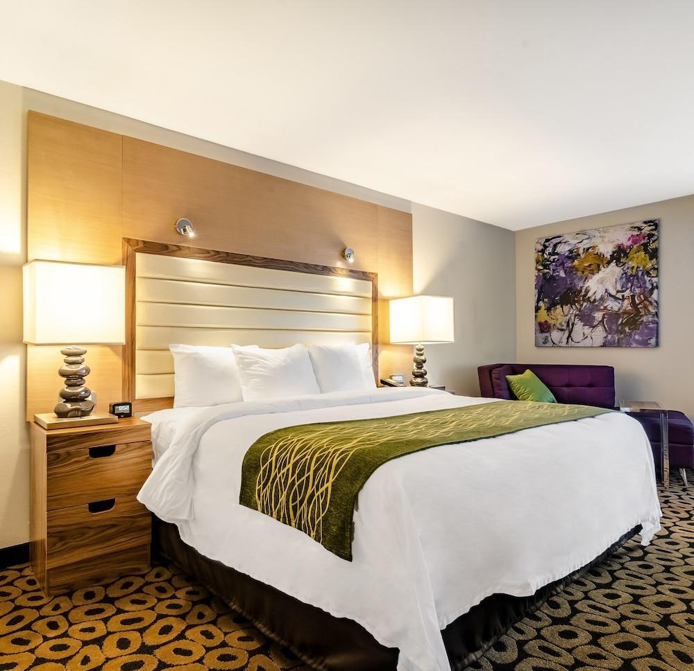 Comfort Inn Raleigh Midtown Exterior foto